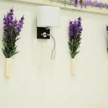 Sweet Near Center إلفيف